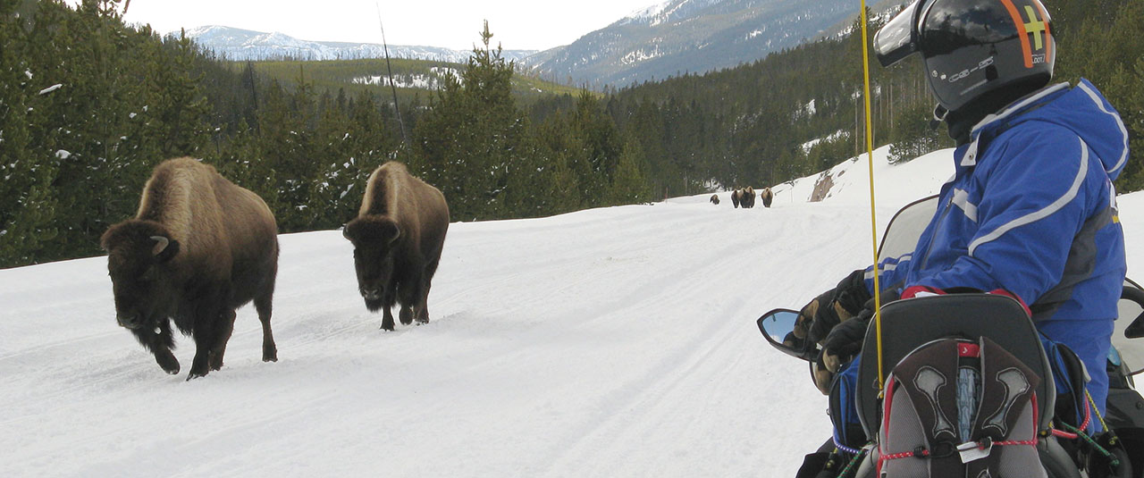GRAND OUEST AMERICAIN – Parcs et routes mythiques