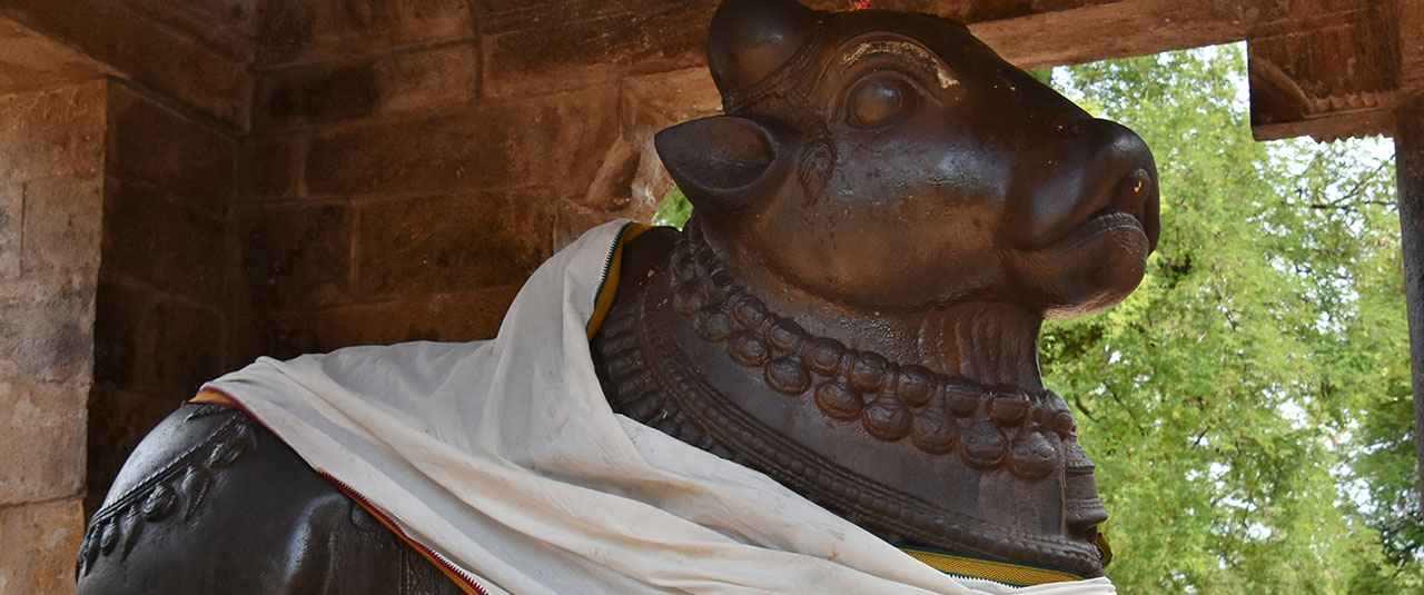 INDE DU SUD – Nature, rivages et temples sacrés