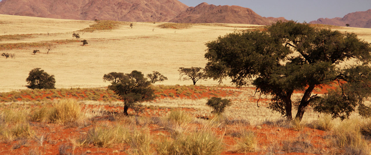 NAMIBIE / BOTSWANA / CHUTES VICTORIA, entre dunes, delta et merveilles naturelles