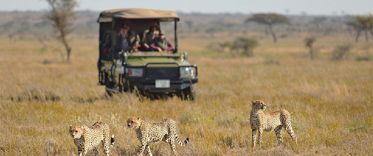 TANZANIE – safaris d’exception et culture vivante