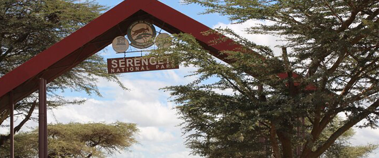 TANZANIE – safaris d’exception et culture vivante